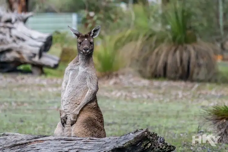 Third view of Homely land listing, 18 Heron Hill, Chittering WA 6084