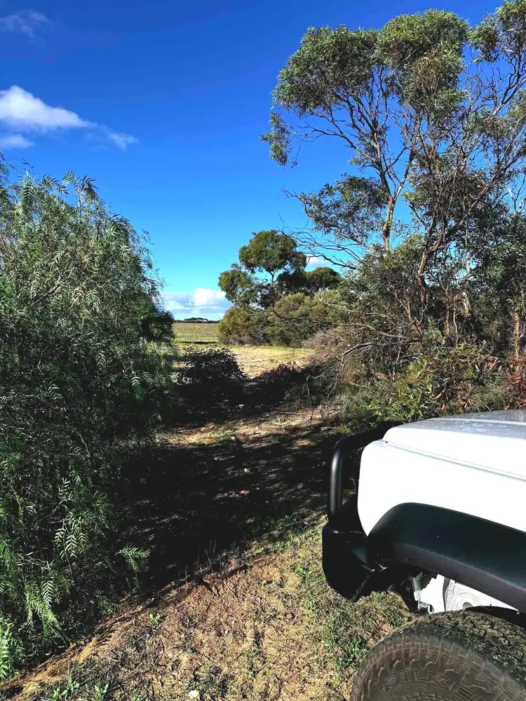 Fourth view of Homely rural property listing, Lot 10 Coalfield Road, Tailem Bend SA 5260