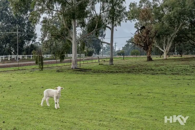 Third view of Homely house listing, 18 Meadowbrook Ramble, Bullsbrook WA 6084