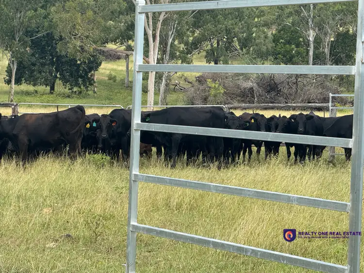 619 Harding Road, Alton Downs QLD 4702