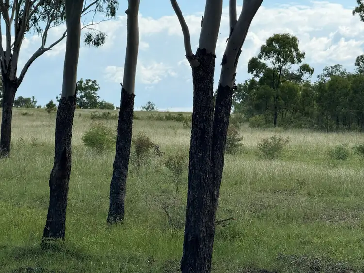 Third view of Homely rural property listing, 619 Harding Road, Alton Downs QLD 4702