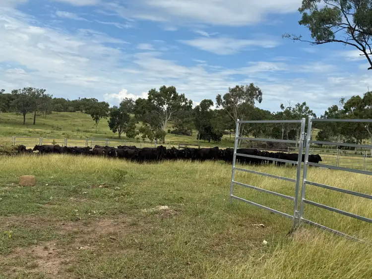Seventh view of Homely rural property listing, 619 Harding Road, Alton Downs QLD 4702