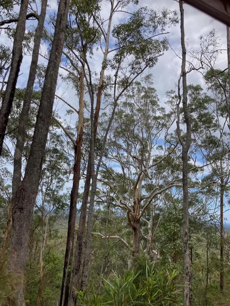 Fifth view of Homely rural property listing, Upper Shark Creek Road, Shark Creek NSW 2463
