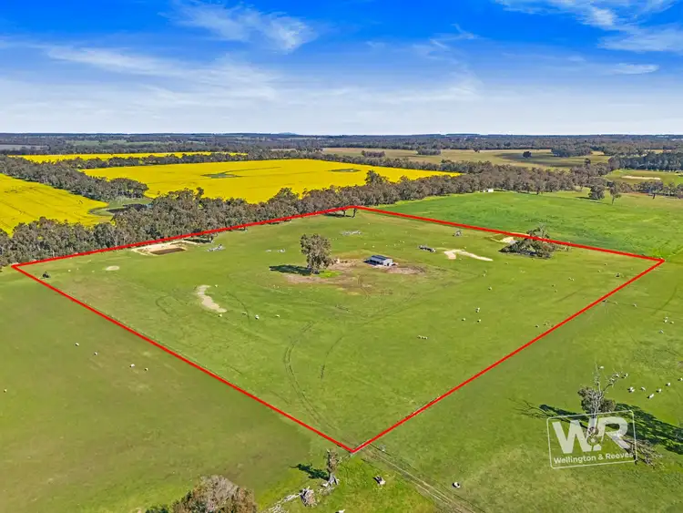 Fourth view of Homely rural property listing, Lot 464 Hobbs Road, Kendenup WA 6323