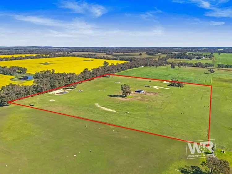 Fifth view of Homely rural property listing, Lot 464 Hobbs Road, Kendenup WA 6323