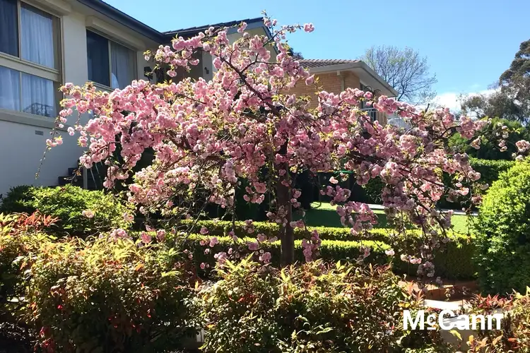 Third view of Homely house listing, 47 Langdon Avenue, Wanniassa ACT 2903
