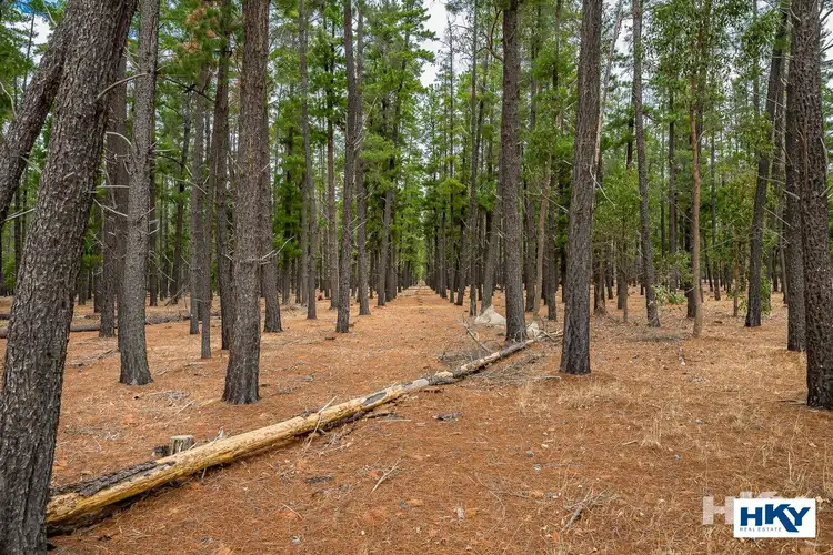 Fifth view of Homely land listing, 1 Djarlma Road, Chittering WA 6084