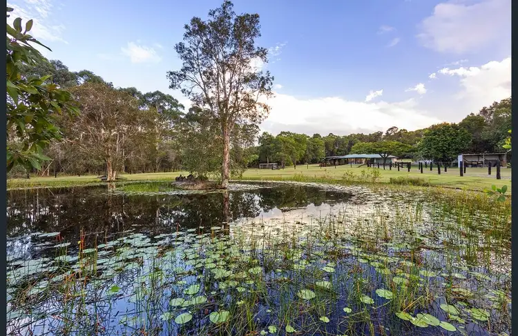 Fourth view of Homely rural property listing, 138 Callistemon Court, Cootharaba QLD 4565