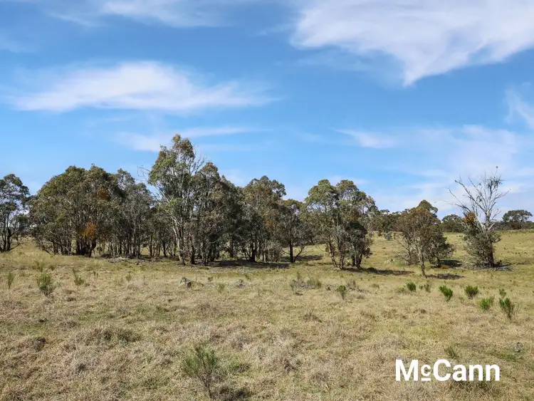 Seventh view of Homely rural property listing, 2326 Rye Park Road (Broadway), Gunning NSW 2581