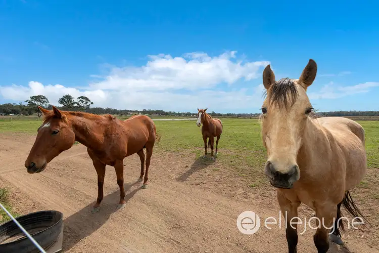 35 Lee-Ann Crescent, Cessnock NSW 2325
