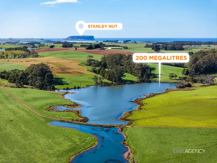 Fourth view of Homely rural property listing, 418 Back Line Road, Forest TAS 7330