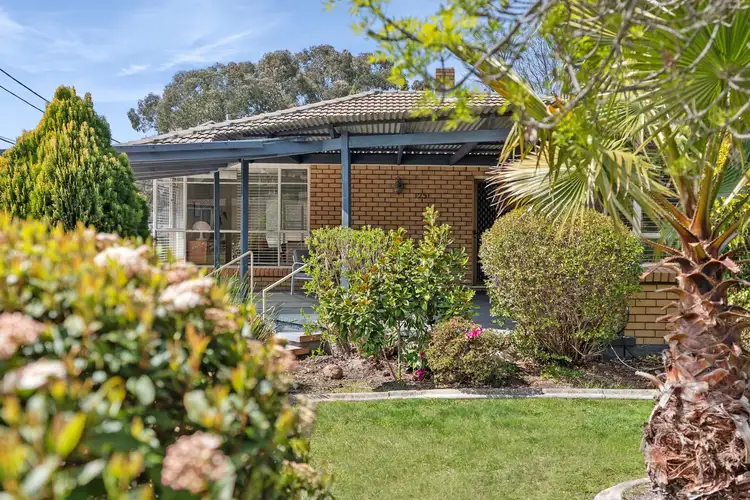 25 Batchelor Street, Torrens ACT 2607