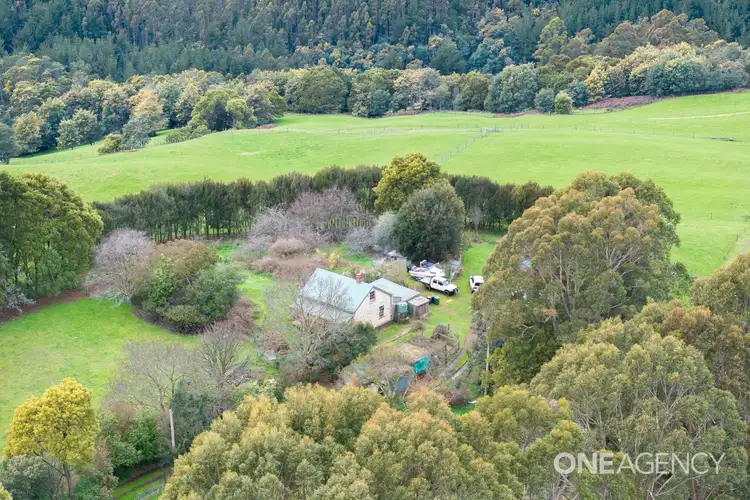 201 Metaira Road, Ridgley TAS 7321