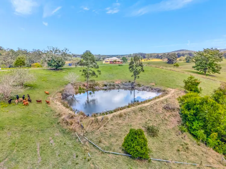 Second view of Homely rural property listing, 325 Tamban Road, Eungai Creek NSW 2441
