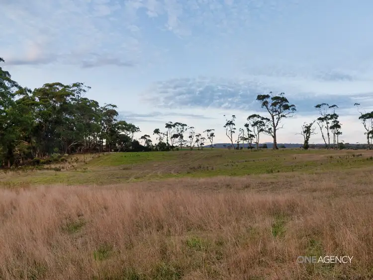 Fifth view of Homely land listing, Lot 1 Boyndey Road, Black River TAS 7321
