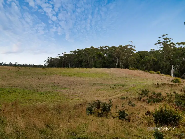 Sixth view of Homely land listing, Lot 1 Boyndey Road, Black River TAS 7321