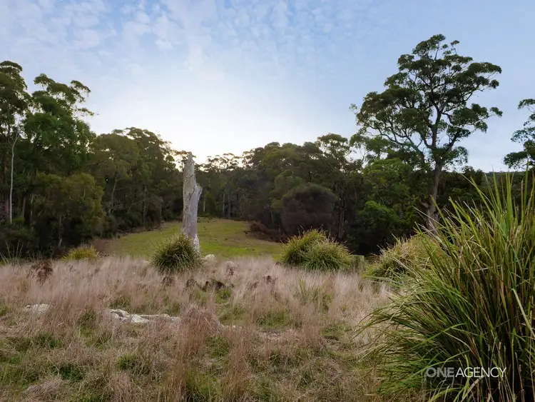 Seventh view of Homely land listing, Lot 1 Boyndey Road, Black River TAS 7321