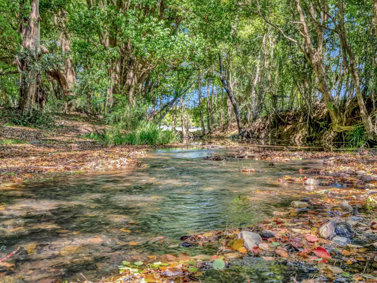 Third view of Homely rural property listing, 923 Orara Way, Nana Glen NSW 2450