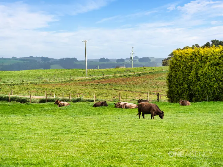 Fifth view of Homely rural property listing, Lot 1 Cyathea Road, Forest TAS 7330