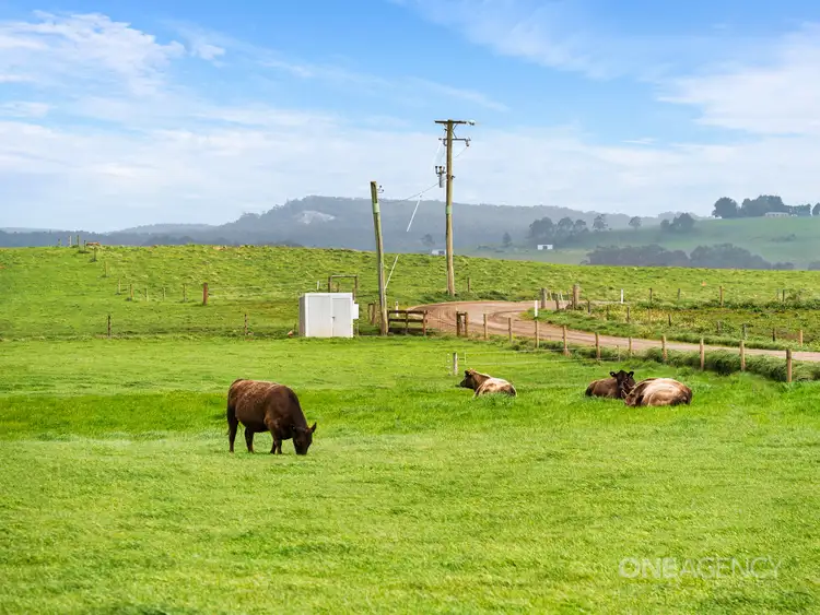 Sixth view of Homely rural property listing, Lot 1 Cyathea Road, Forest TAS 7330