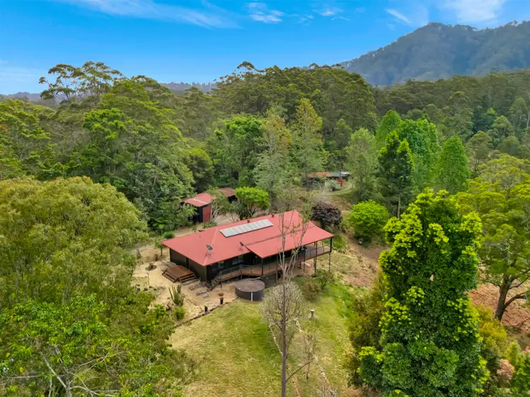 697 Bellingen Road