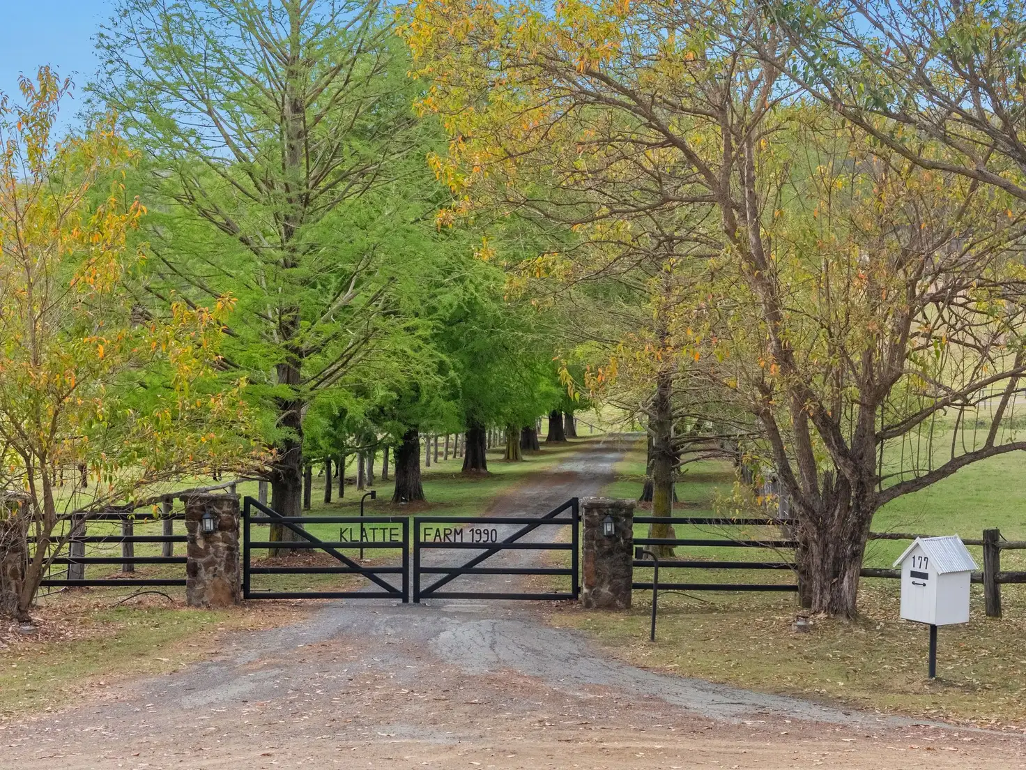 Main view of Homely rural property listing, 177 Armstrong Road, Biddaddaba QLD 4275