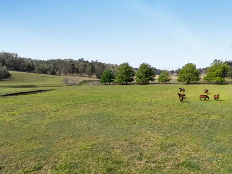 Third view of Homely rural property listing, 177 Armstrong Road, Biddaddaba QLD 4275