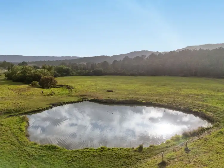 Fourth view of Homely rural property listing, 177 Armstrong Road, Biddaddaba QLD 4275