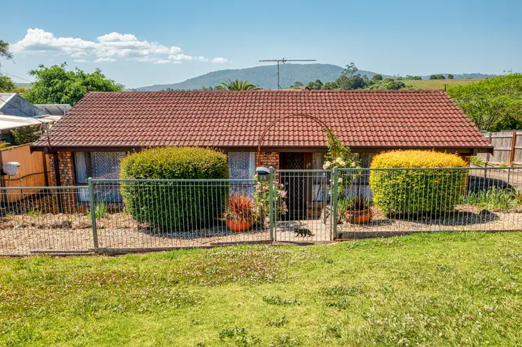25 Dorrigo Street, Dorrigo NSW 2453