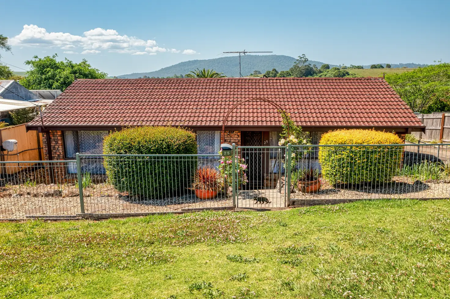 Main view of Homely house listing, 25 Dorrigo Street, Dorrigo NSW 2453