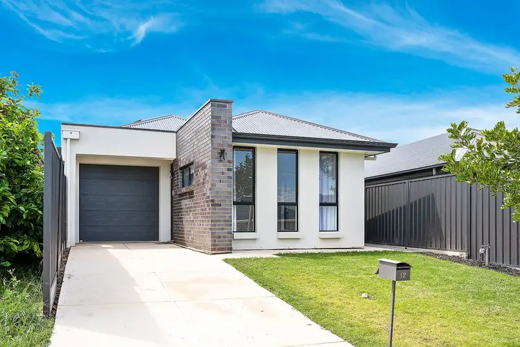 12 Brigalow Avenue, Modbury SA 5092