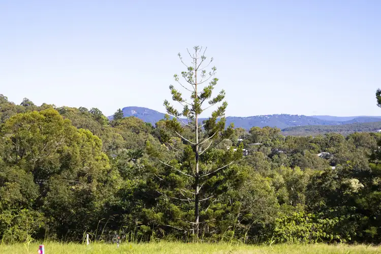 Fifth view of Homely house listing, 10 Hudson Drive, Coolum Beach QLD 4573