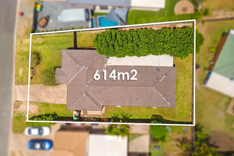 Fourth view of Homely house listing, 11 Glentree Avenue, Upper Coomera QLD 4209