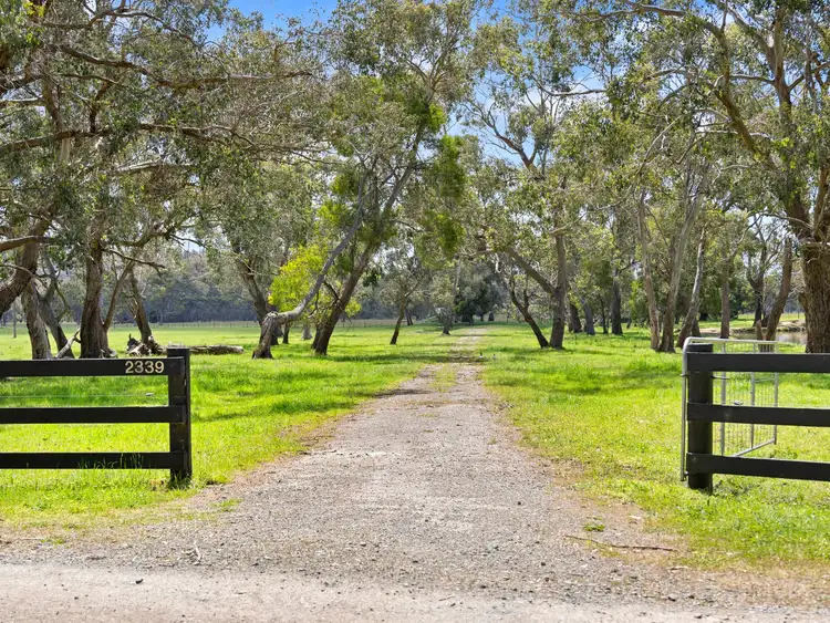 Second view of Homely land listing, 2339 Maroondah Highway, Buxton VIC 3711