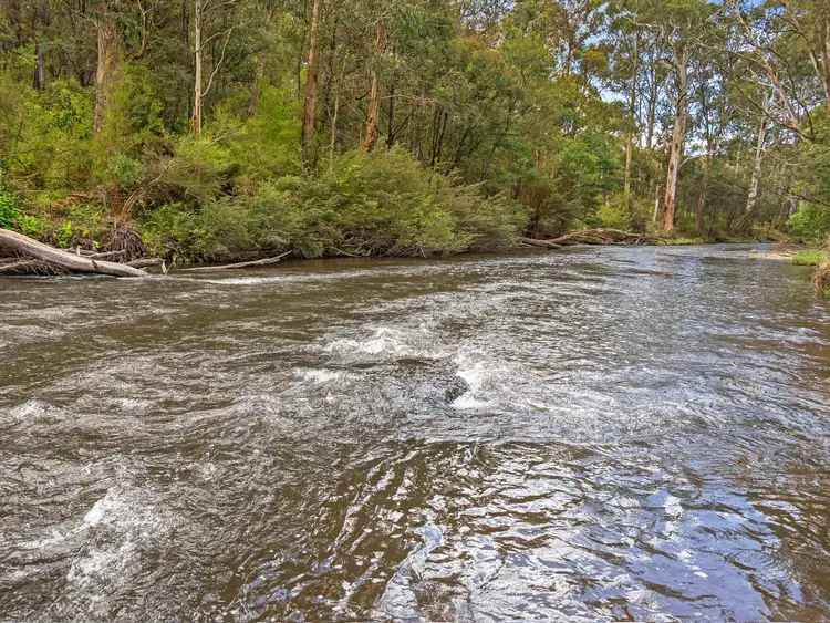 Fourth view of Homely land listing, 2339 Maroondah Highway, Buxton VIC 3711