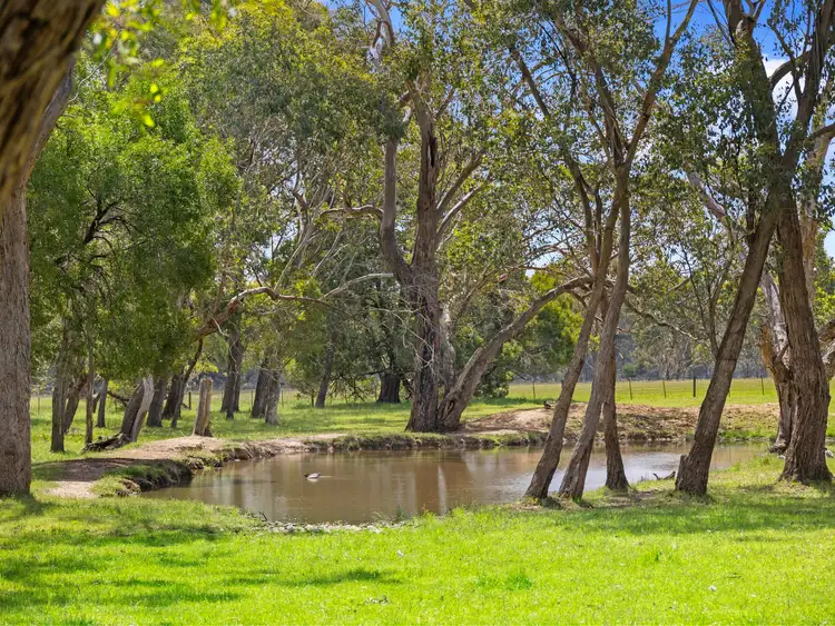 Fifth view of Homely land listing, 2339 Maroondah Highway, Buxton VIC 3711