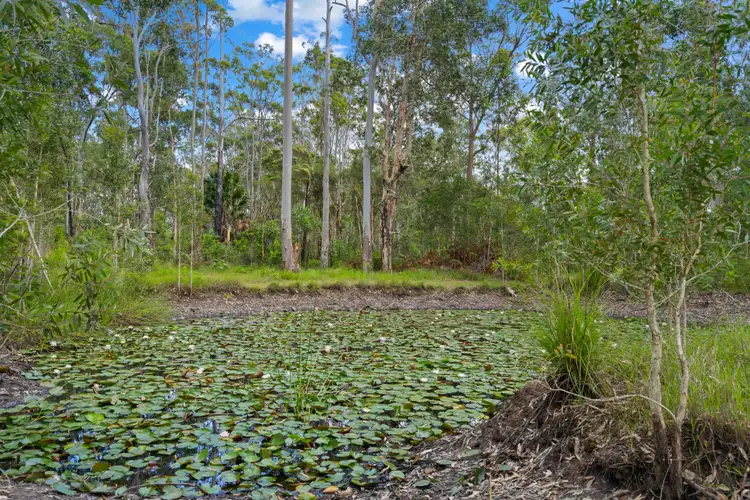 Fourth view of Homely land listing, 293 Elliots Road, Nabiac NSW 2312