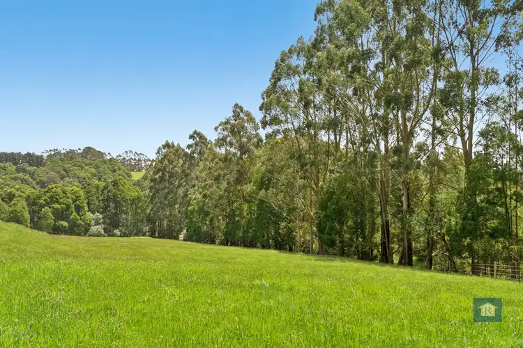 Sixth view of Homely rural property listing, 59 Southorn Street, Beech Forest VIC 3237