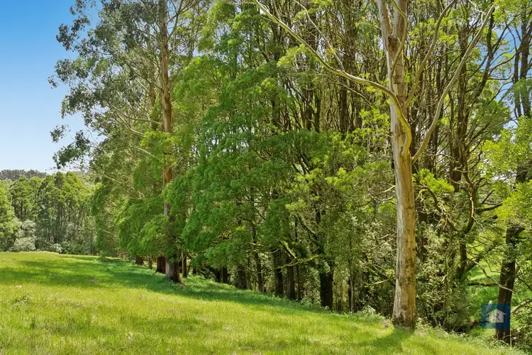 Seventh view of Homely rural property listing, 59 Southorn Street, Beech Forest VIC 3237