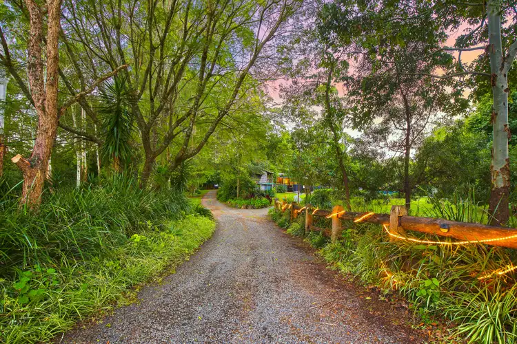 Sixth view of Homely rural property listing, 84 Kings Creek Road, Krambach NSW 2429