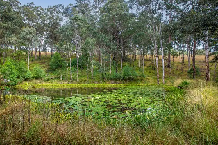 Sixth view of Homely rural property listing, Peartree Hill Road, Kurrajong NSW 2758