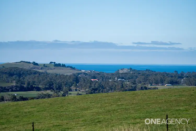 Seventh view of Homely land listing, LOT 2, 455 Preolenna Road, Flowerdale TAS 7325