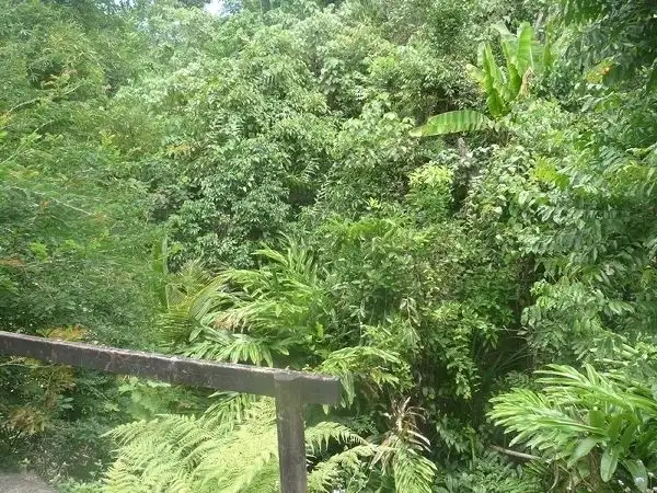 Sixth view of Homely land listing, 21 Explorers Drive, South Mission Beach QLD 4852