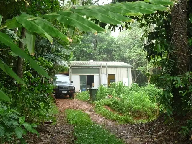 Main view of Homely house listing, 4 Plumb Street, Bingil Bay QLD 4852
