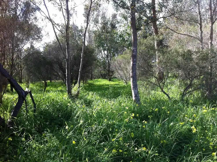 Fifth view of Homely land listing, 20 Cruse Road, Belhus WA 6069