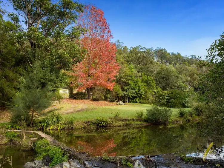 Second view of Homely rural property listing, 545 Upper Brookfield Road, Upper Brookfield QLD 4069