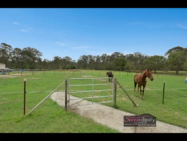 Third view of Homely rural property listing, 3102 Beaudesert Beenleigh Rd, Birnam QLD 4285