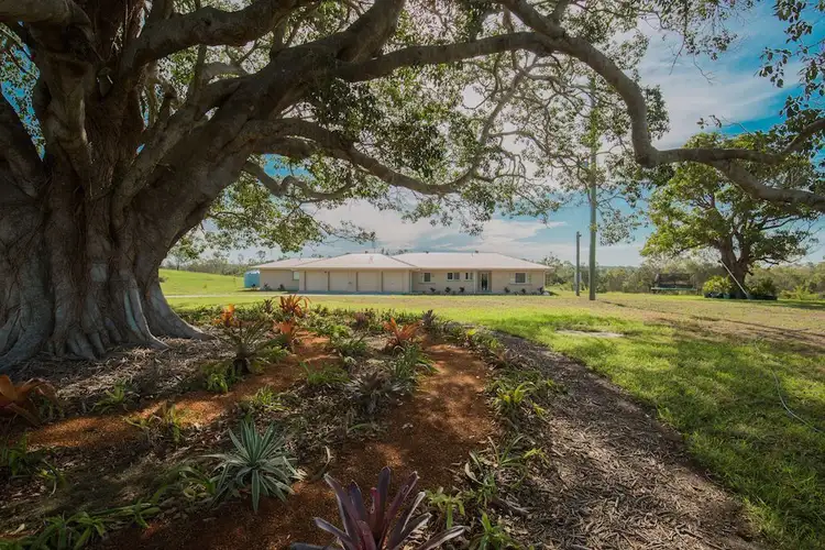 Third view of Homely rural property listing, 1381 Rosedale Road, Bucca QLD 4670