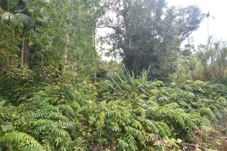 Sixth view of Homely land listing, 23 Sanctuary Crescent, Wongaling Beach QLD 4852