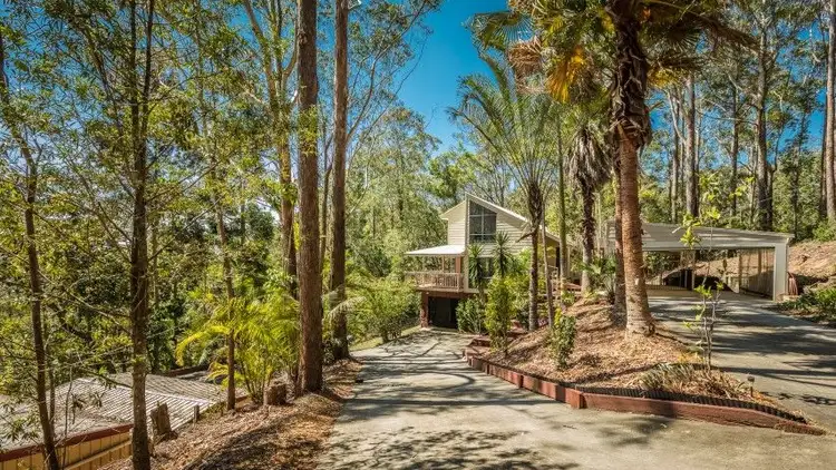 244 Mons Road, Forest Glen QLD 4556